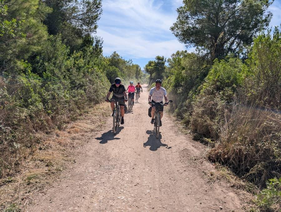 Pedalea entre viñedos, arrozales y mar: descubre la esencia del Mediterráneo